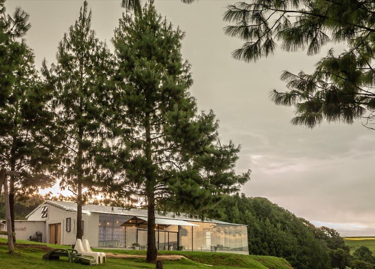 Dargle Forest Lodge Exterior photo