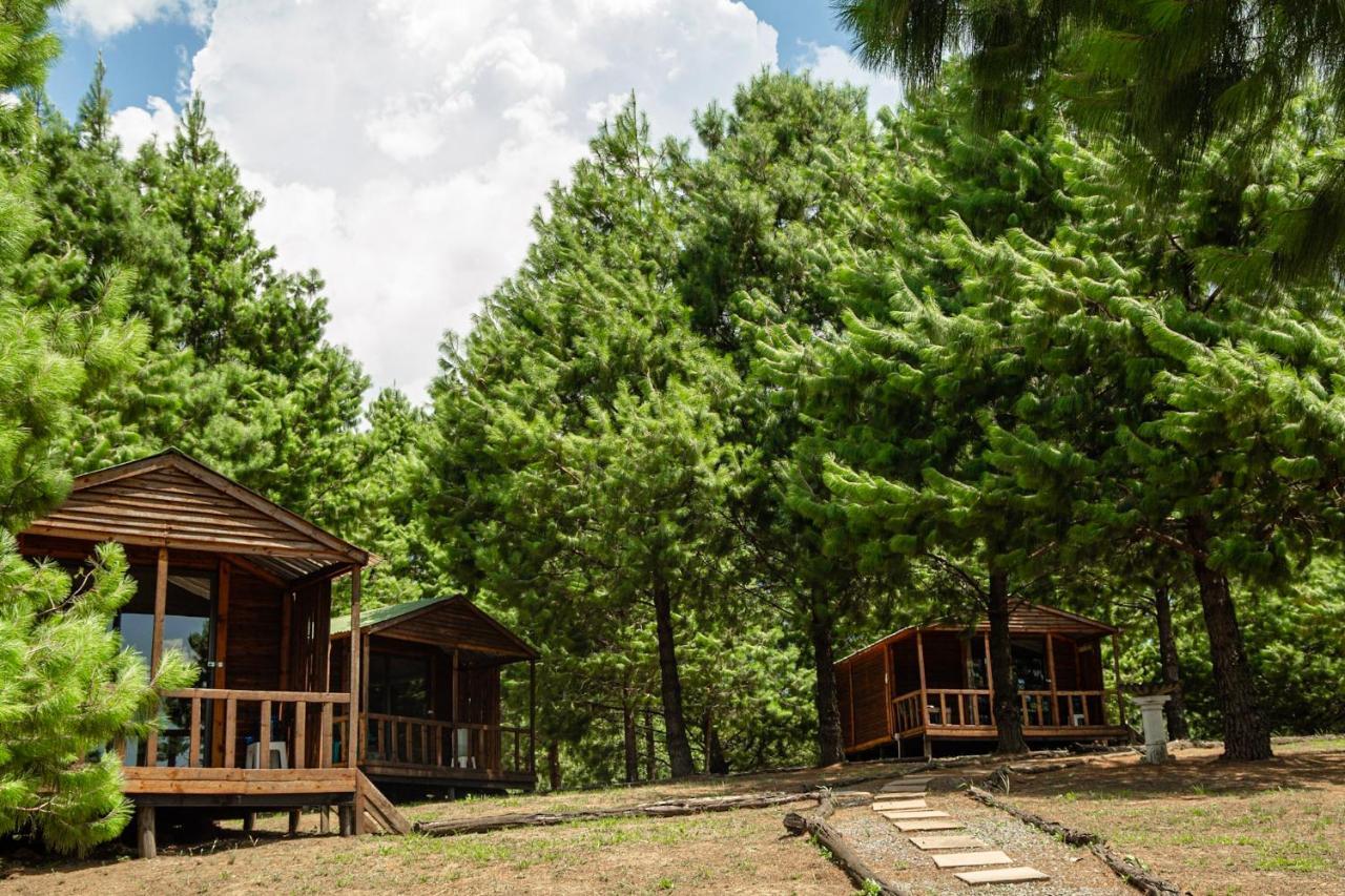 Dargle Forest Lodge Exterior photo