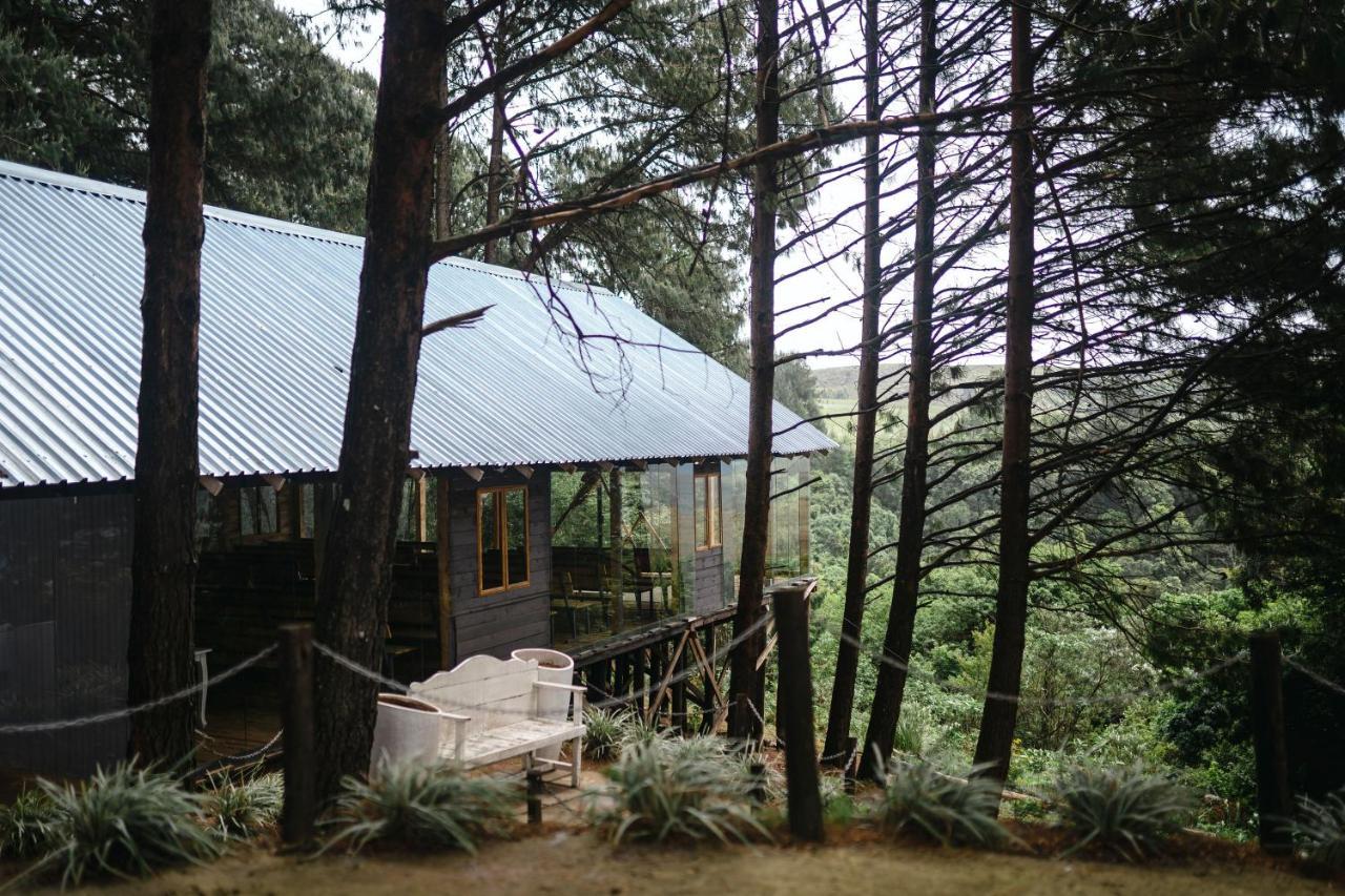 Dargle Forest Lodge Exterior photo